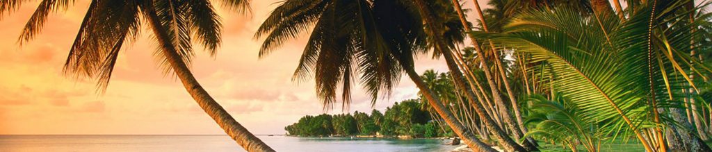 Caribbean